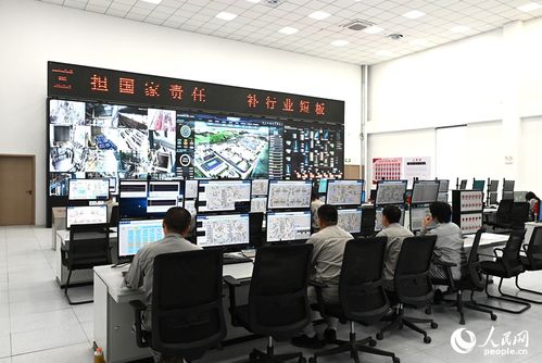 向智向綠，雙輪驅(qū)動(dòng) 技術(shù)咨詢(xún)助力中國(guó)硅基材料產(chǎn)業(yè)破局前行